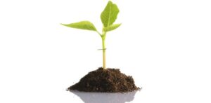 Oerproducent