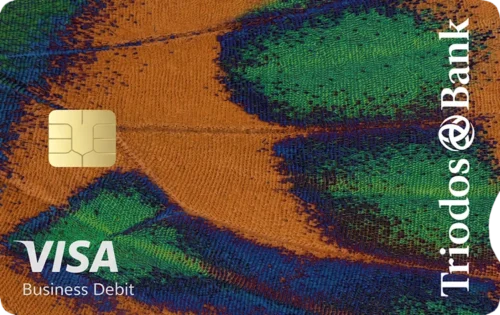 Triodos Internet Zaken Rekening